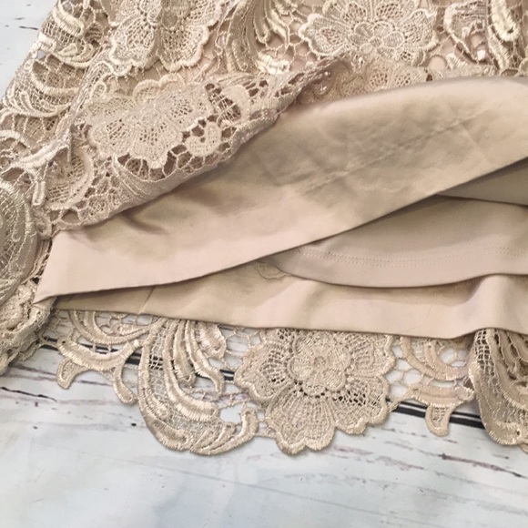 Adrianna Papell Champagne Lace Dress - Picture 4 of 7